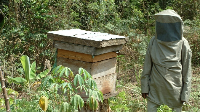 In Togo: Kleinkreditprojekte