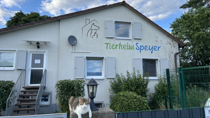 Das Tierheim Speyer benötigt einen neuen Hochdruckreiniger